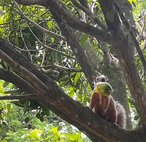 Casa Colibrí Сasa de vacaciones *