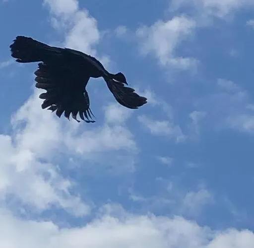 Сasa de vacaciones Casa Colibrí
