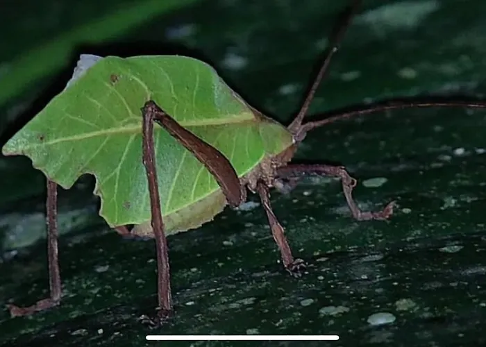 Сasa de vacaciones Casa Colibrí