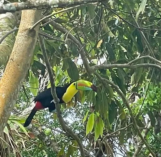 Casa Colibrí Сasa de vacaciones