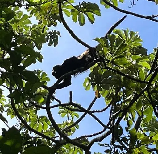 Casa Colibrí Сasa de vacaciones