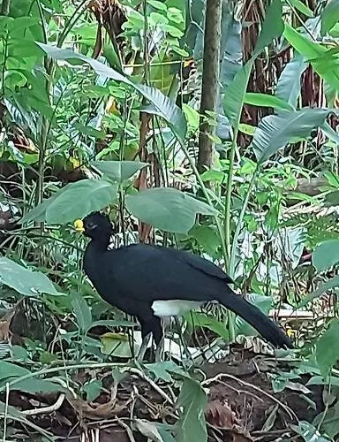 Сasa de vacaciones Casa Colibrí