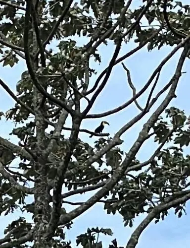 Casa Colibrí Сasa de vacaciones Tilarán