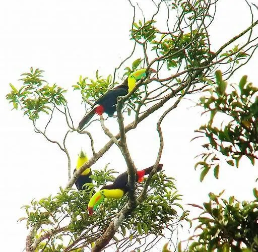 Casa Colibrí Сasa de vacaciones *