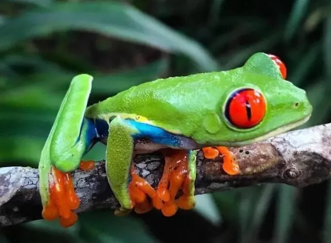 Casa Colibrí Сasa de vacaciones