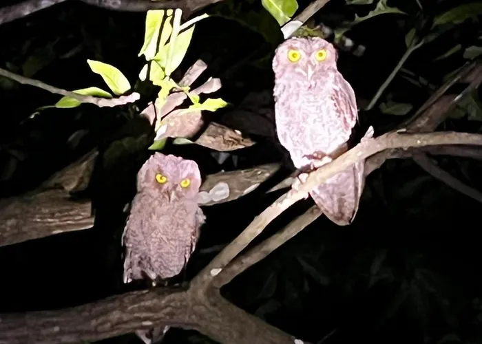 Casa Colibrí Сasa de vacaciones *