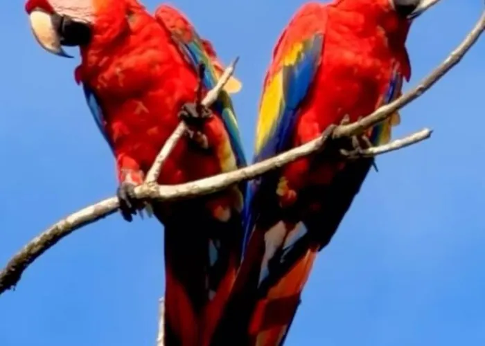 Сasa de vacaciones Casa Colibrí