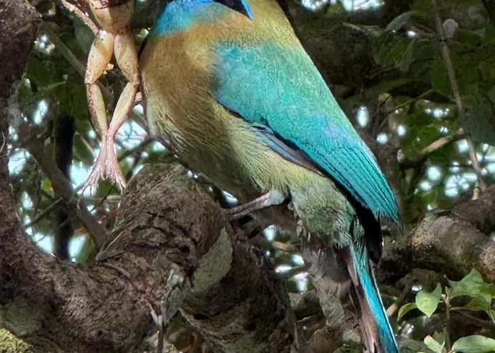 Casa Colibrí *
