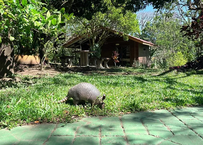 Casa Colibrí *